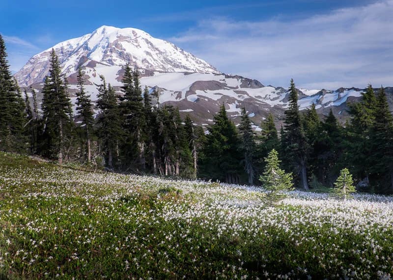 Great 48 T-minus 2 Days | Elkhart to Seattle to Mt. Rainier National Park