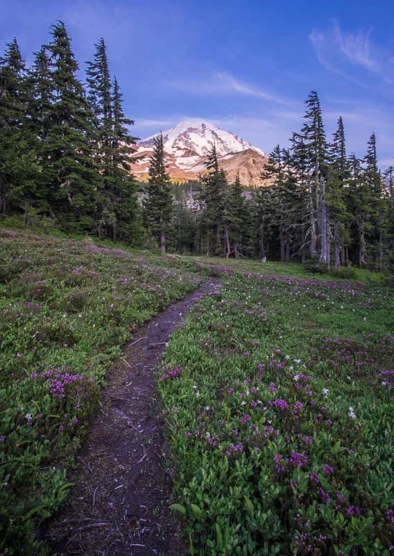Great 48 T-minus 2 Days | Elkhart to Seattle to Mt. Rainier National Park — 5