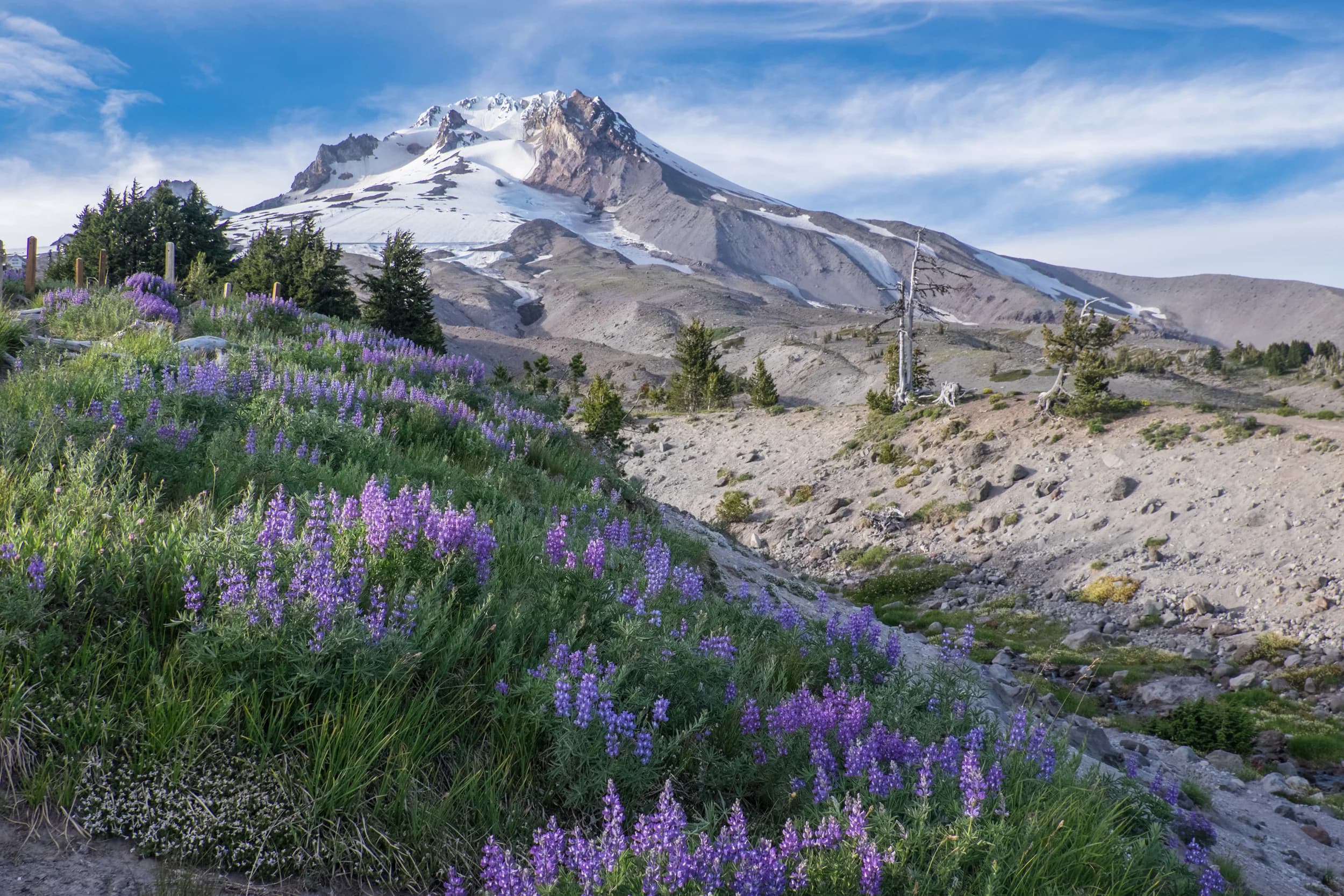 Great 48: Summit of Rainier to Mt. Hood — 4