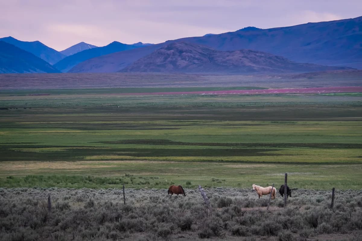 Great 48: Idaho & Montana — 3