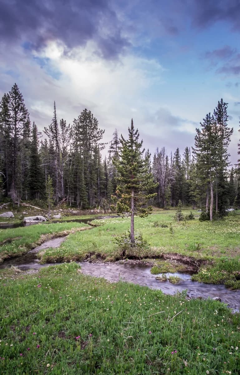 Great 48: Idaho & Montana — 5
