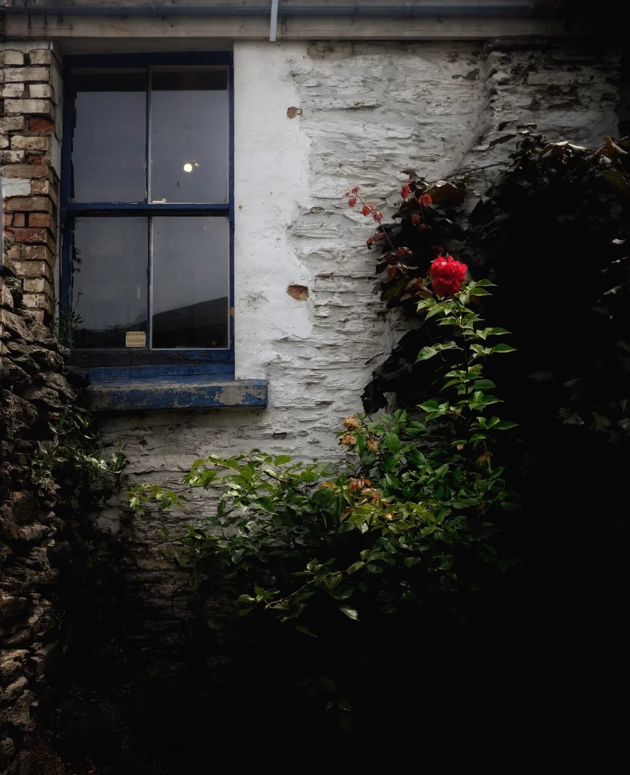 New Zealand Road Trip | Queenstown — 2