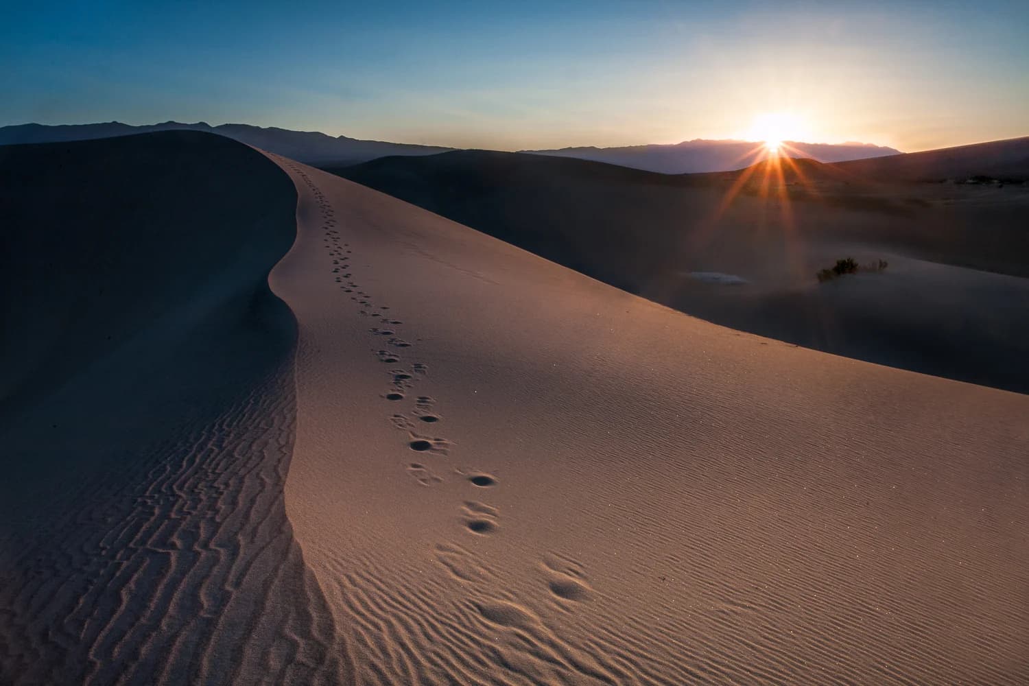 Death Valley
