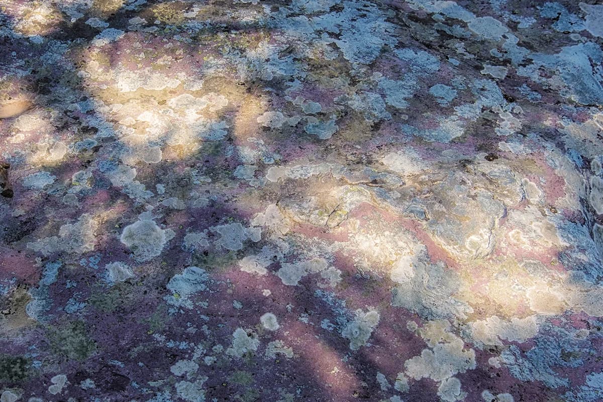 Halfway | Glacier National Park — 2