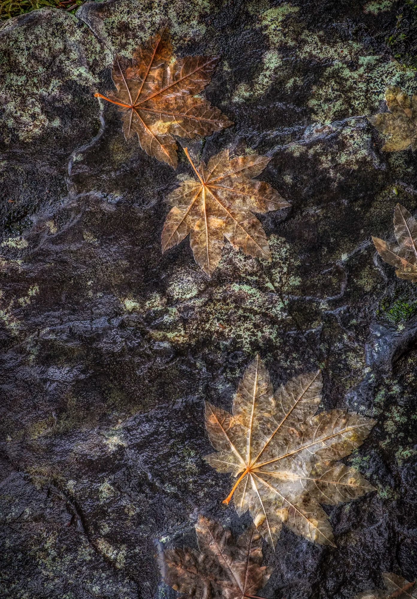 Familiarity — 5