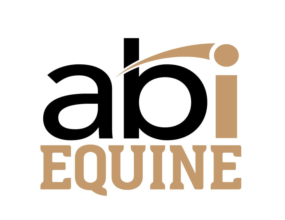ABI Attachments 2